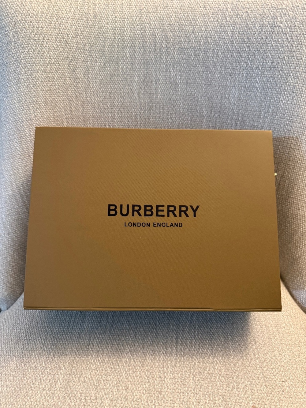 Burberry Layered Leather Shoulder Bag (Includes Box and Dust Bag) - Picture 12 of 14